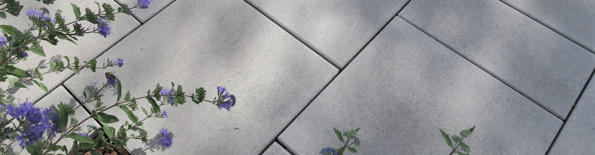 Campus VG4, taupe nüansz-árnyalt Campus VG4, taupe nüansz-árnyalt