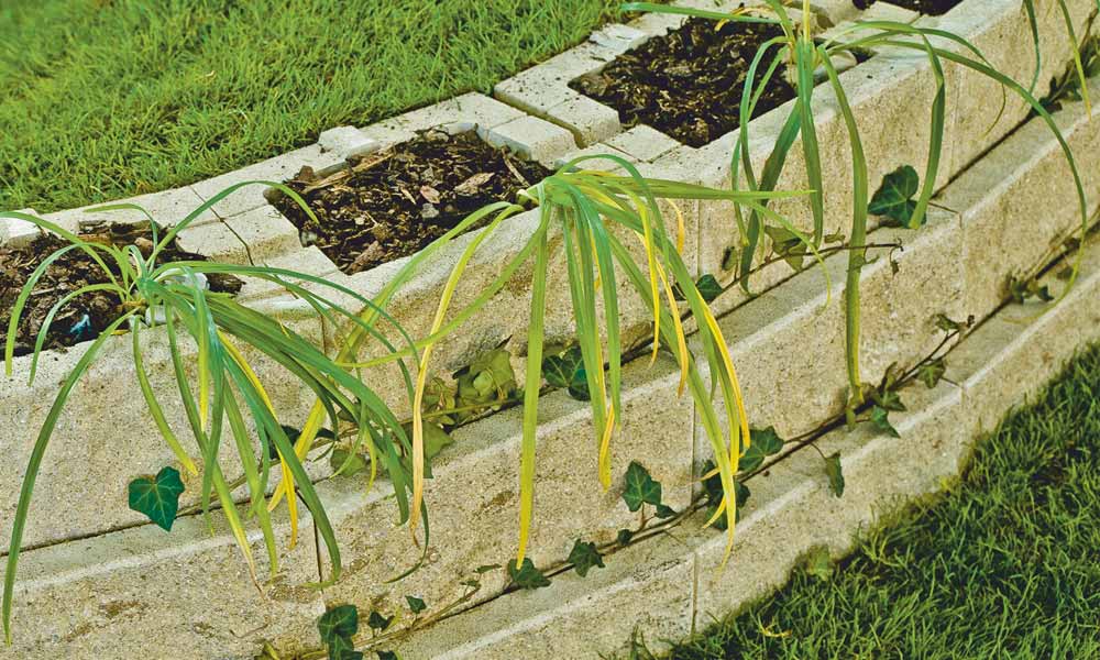 Faro flórakosár, mészkő árnyalt Faro flórakosár, mészkő árnyalt