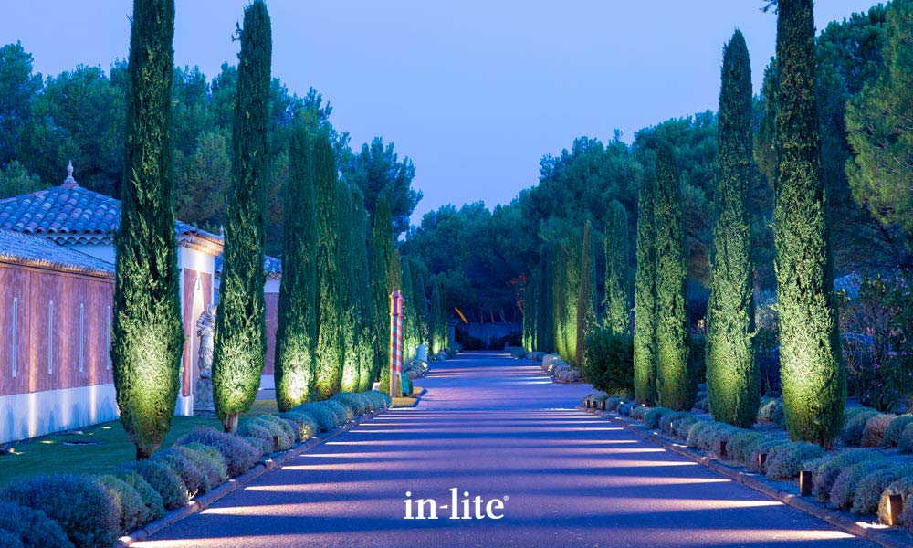 Ace corten Ace corten