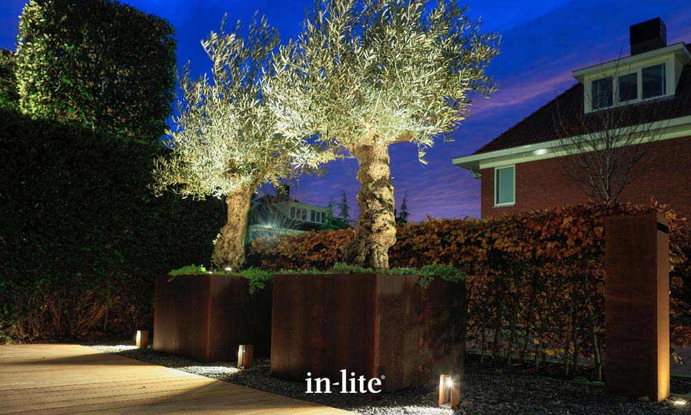 Ace corten Ace corten